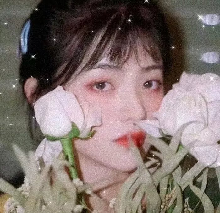 华灯艳舞